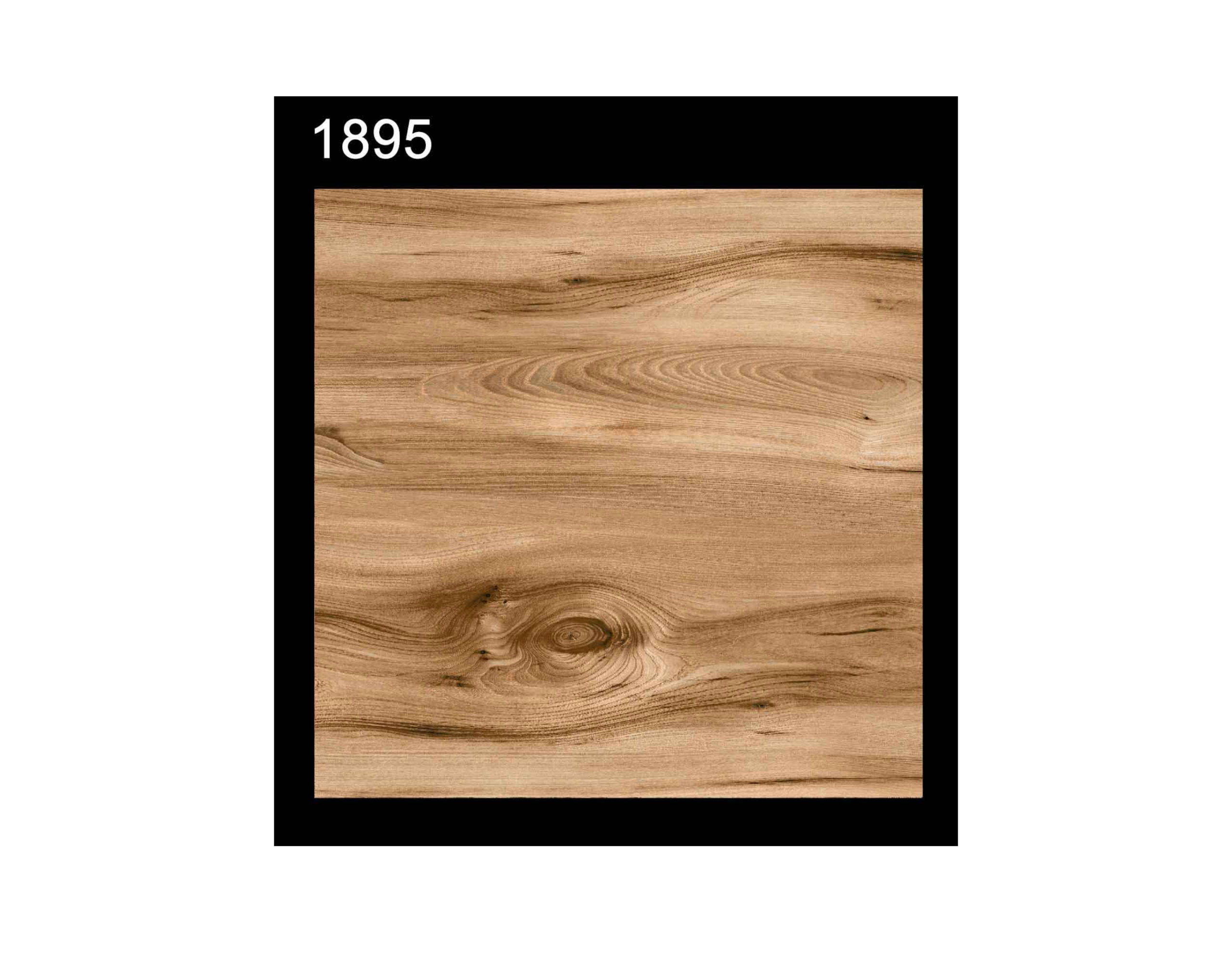 WOOD Matt Collection 1895